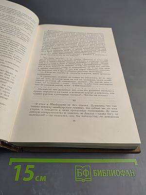 Собрание сочинений. Том четырнадцатый: За рубежом. Письма к тётеньке 1881-1882