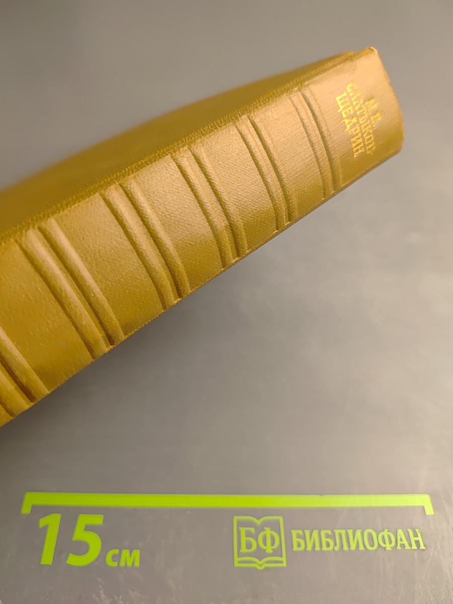 Собрание сочинений. Том четырнадцатый: За рубежом. Письма к тётеньке 1881-1882