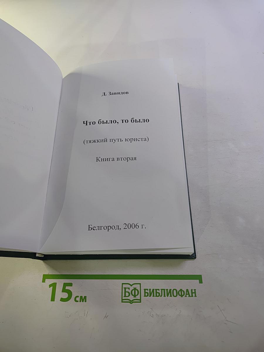Что было, то было (тяжкий путь юриста) Книга вторая