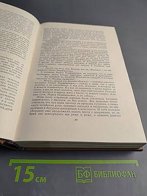 Собрание сочинений. Том семнадцатый: Пошехонская старина, Забытые слова, Автобиографии