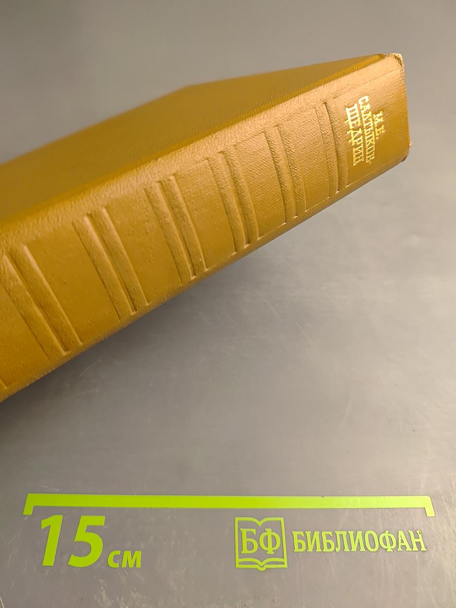 Собрание сочинений. Том семнадцатый: Пошехонская старина, Забытые слова, Автобиографии