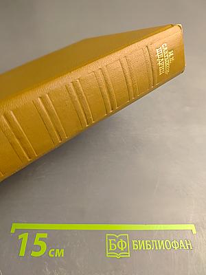 Собрание сочинений. Том семнадцатый: Пошехонская старина, Забытые слова, Автобиографии