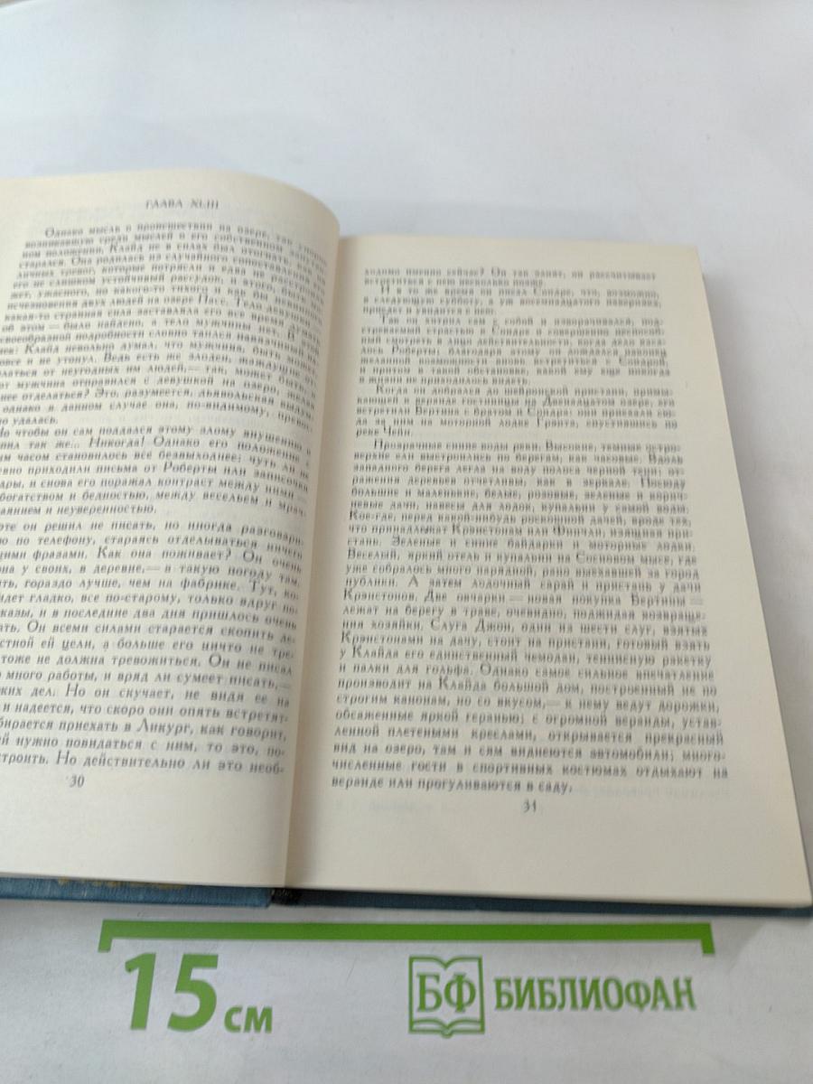 Американская трагедия. Том 9