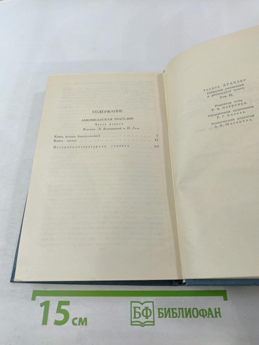 Американская трагедия. Том 9