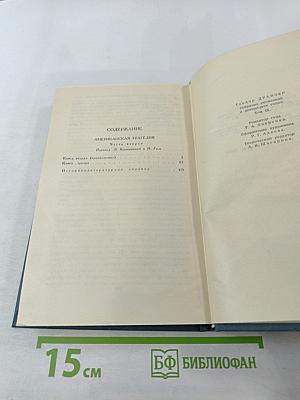 Американская трагедия. Том 9