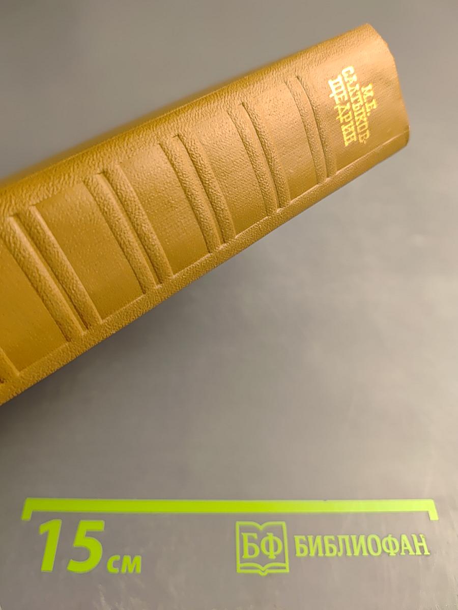 Собрание сочинений. Том семнадцатый: Пошехонская старина, Закрытые слова, Автобиографии