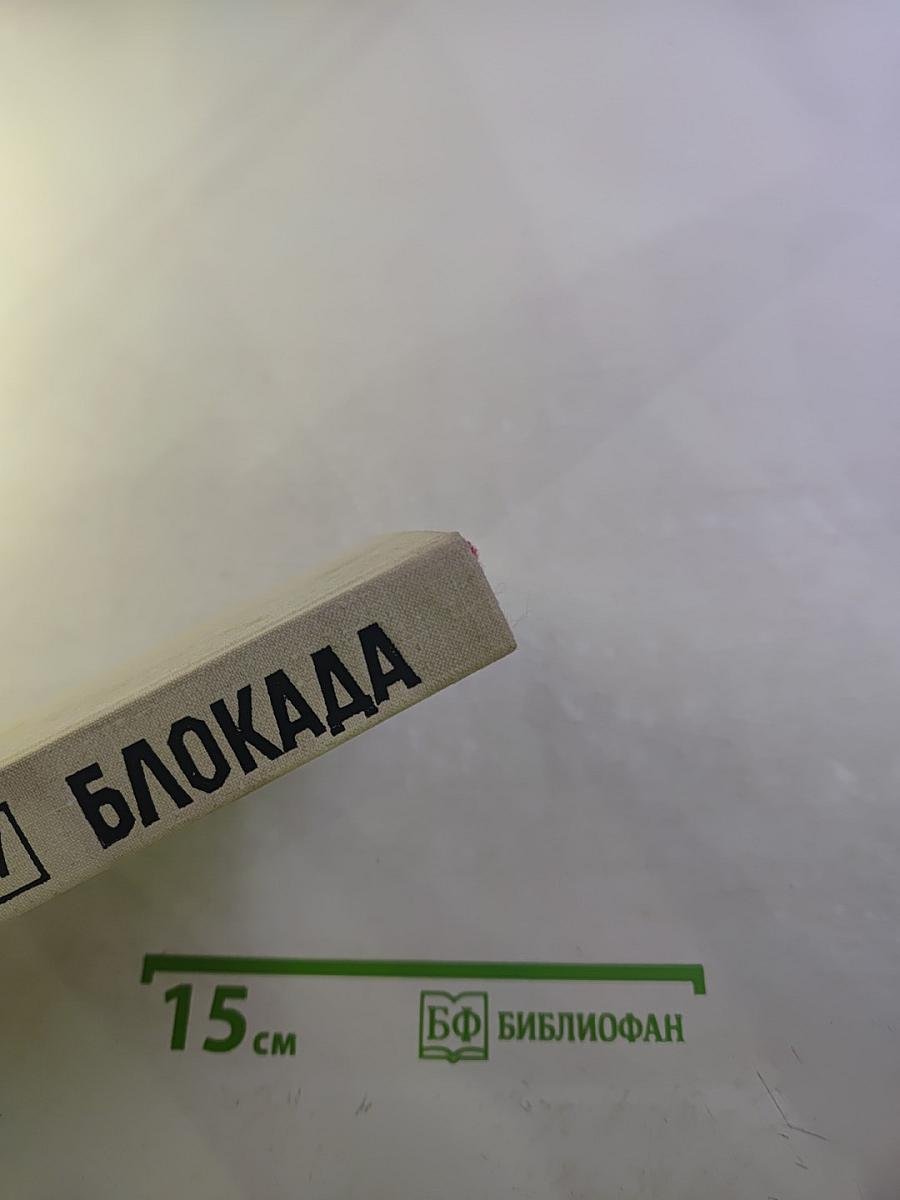 Блокада. Книга четвертая