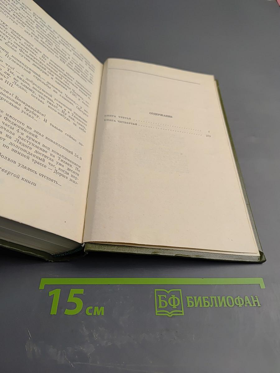 Блокада. Роман в пяти книгах. Книга третья-четвертая. Том 5