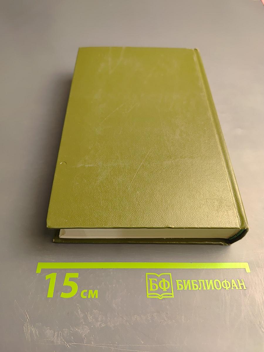 Блокада. Роман в пяти книгах. Книга третья-четвертая. Том 5