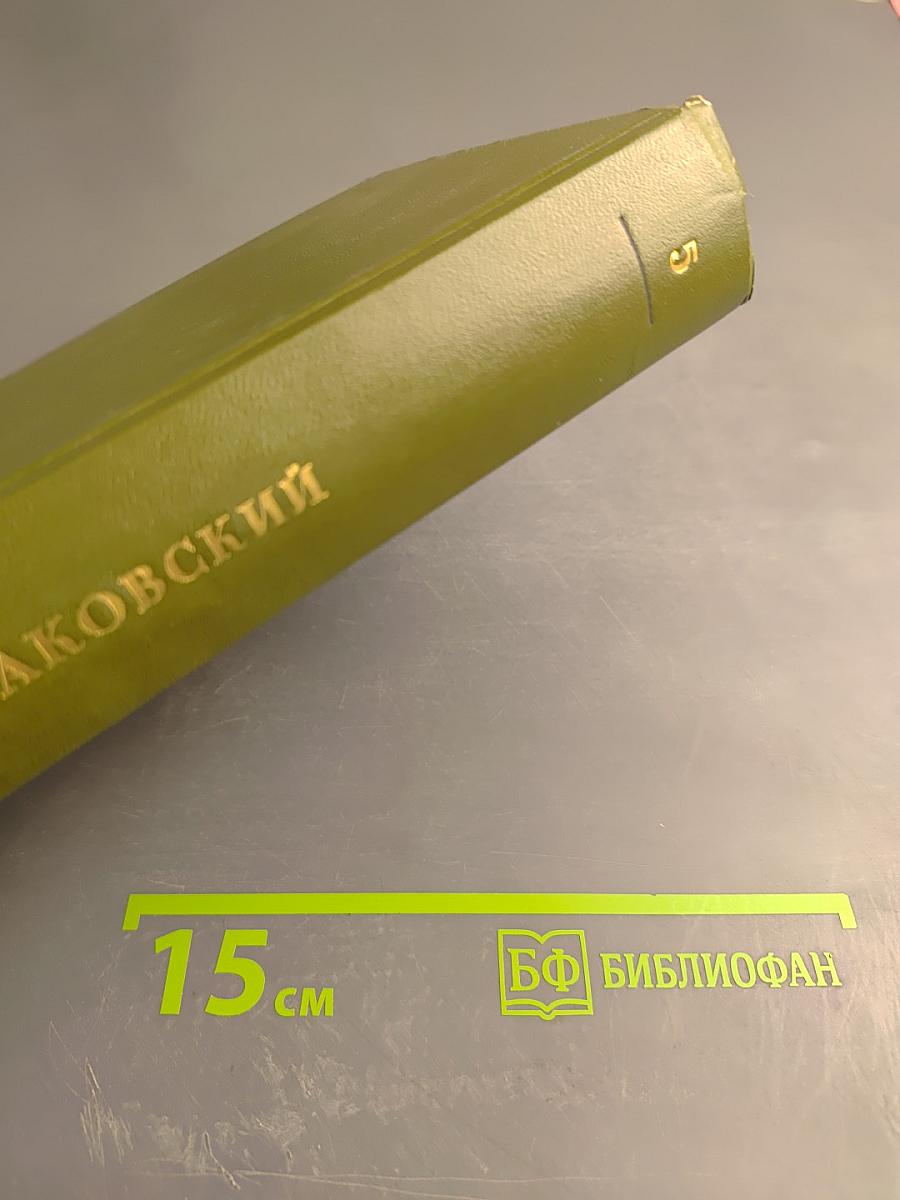 Блокада. Роман в пяти книгах. Книга третья-четвертая. Том 5