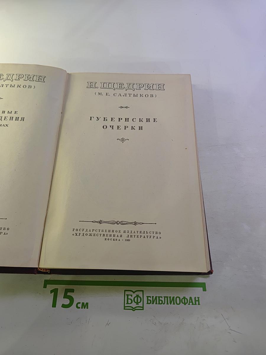 Губернские очерки