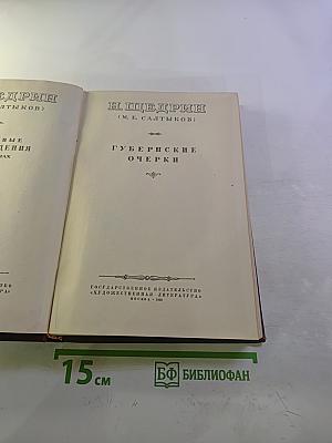 Губернские очерки