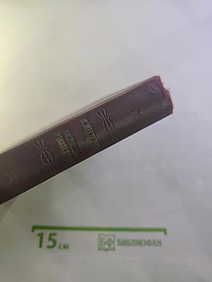 Губернские очерки