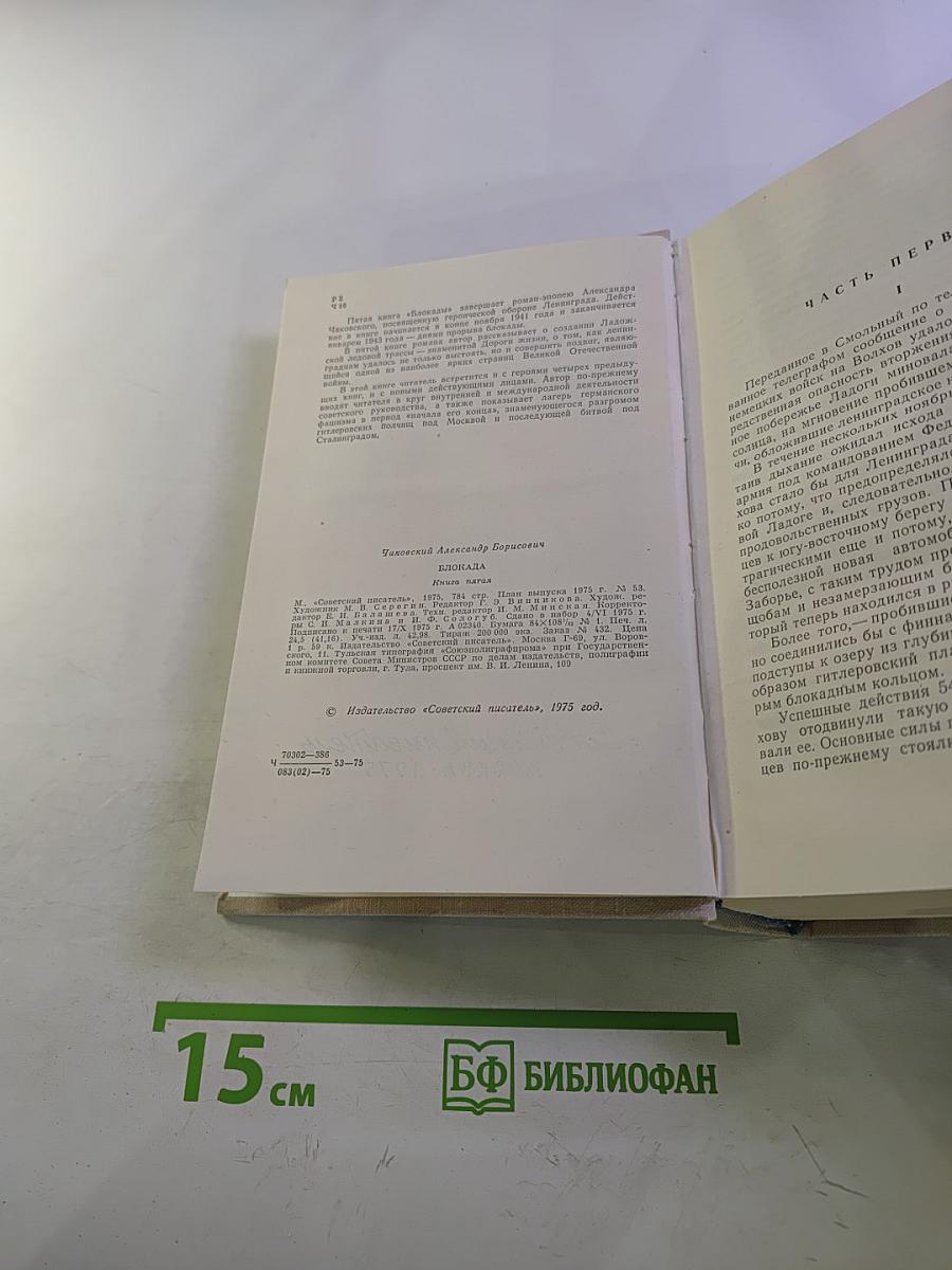 Блокада. Книга пятая