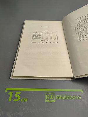 Просто Саша