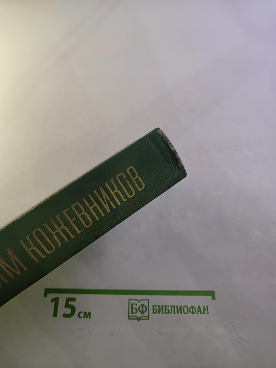 Собрание сочинений. Том первый. Заре навстречу