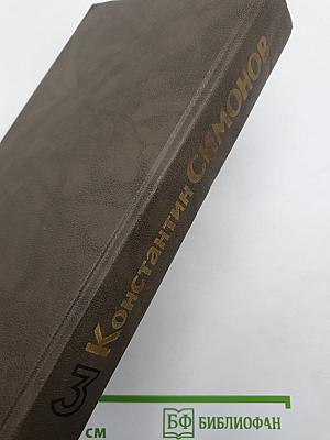 Живые и мертвые. Книга третья. Последнее лето