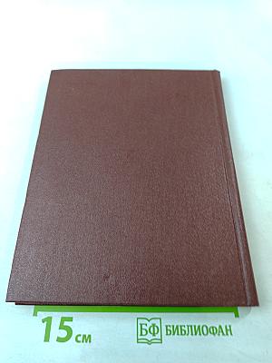 Солдатская Слава. Книга пятая