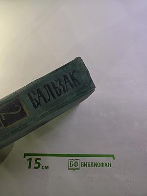 Оноре Бальзак. Собрание сочинений в 24 томах. Том 2. Человеческая комедия