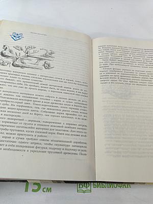 Прекрасное – своими руками