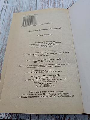 Драматургия. Критика и комментарии. Темы и развернутые планы сочинений. Материалы для подготовки к уроку