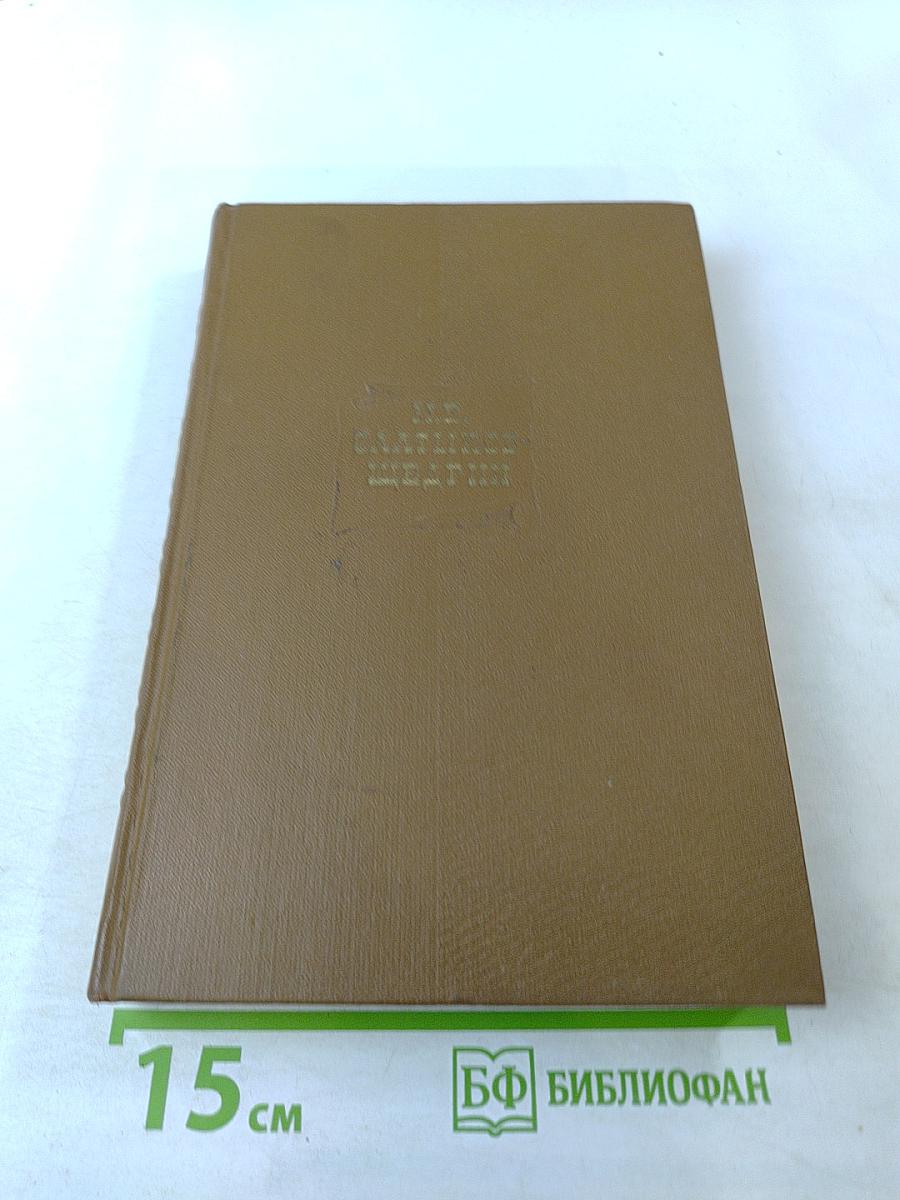 Собрание сочинений. Том второй. Губернские очерки 1856-1857