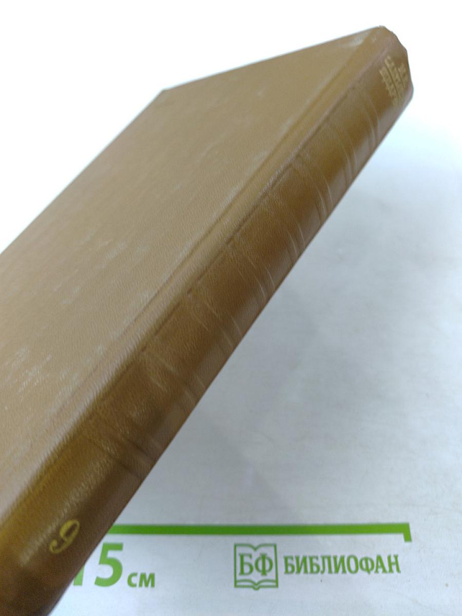 Собрание сочинений Том девятый. Критика. Публицистика (1868-1883)