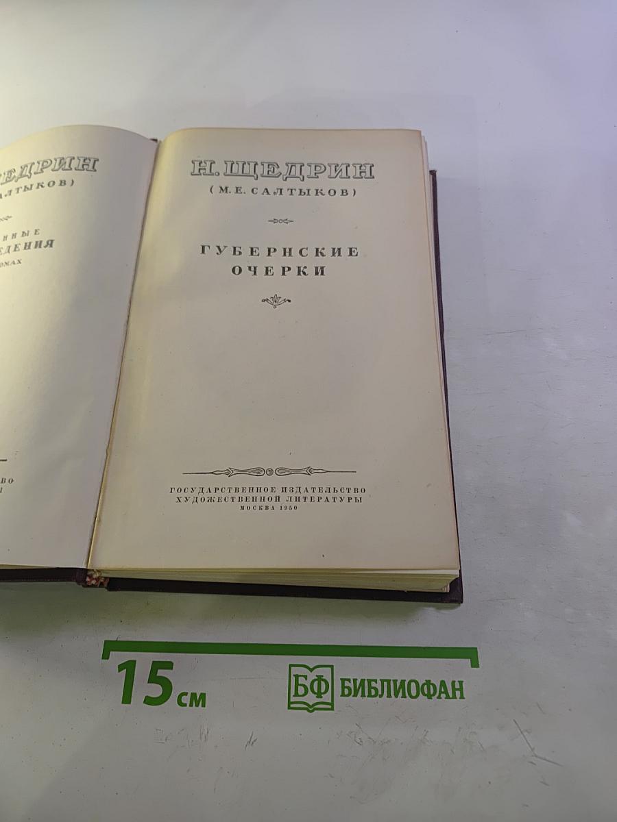 Избранные произведения. Том I. Губернские очерки