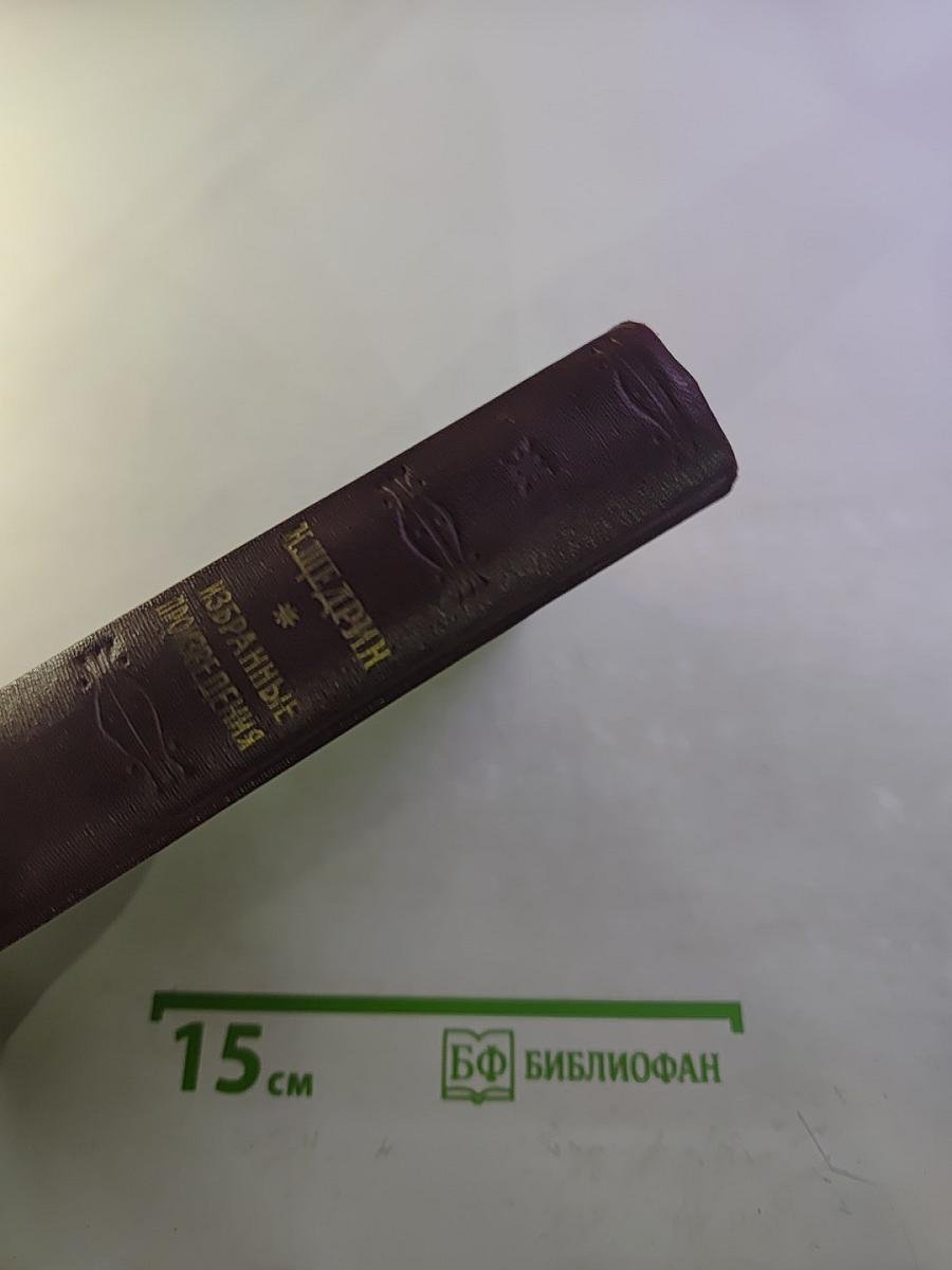 Избранные произведения. Том I. Губернские очерки