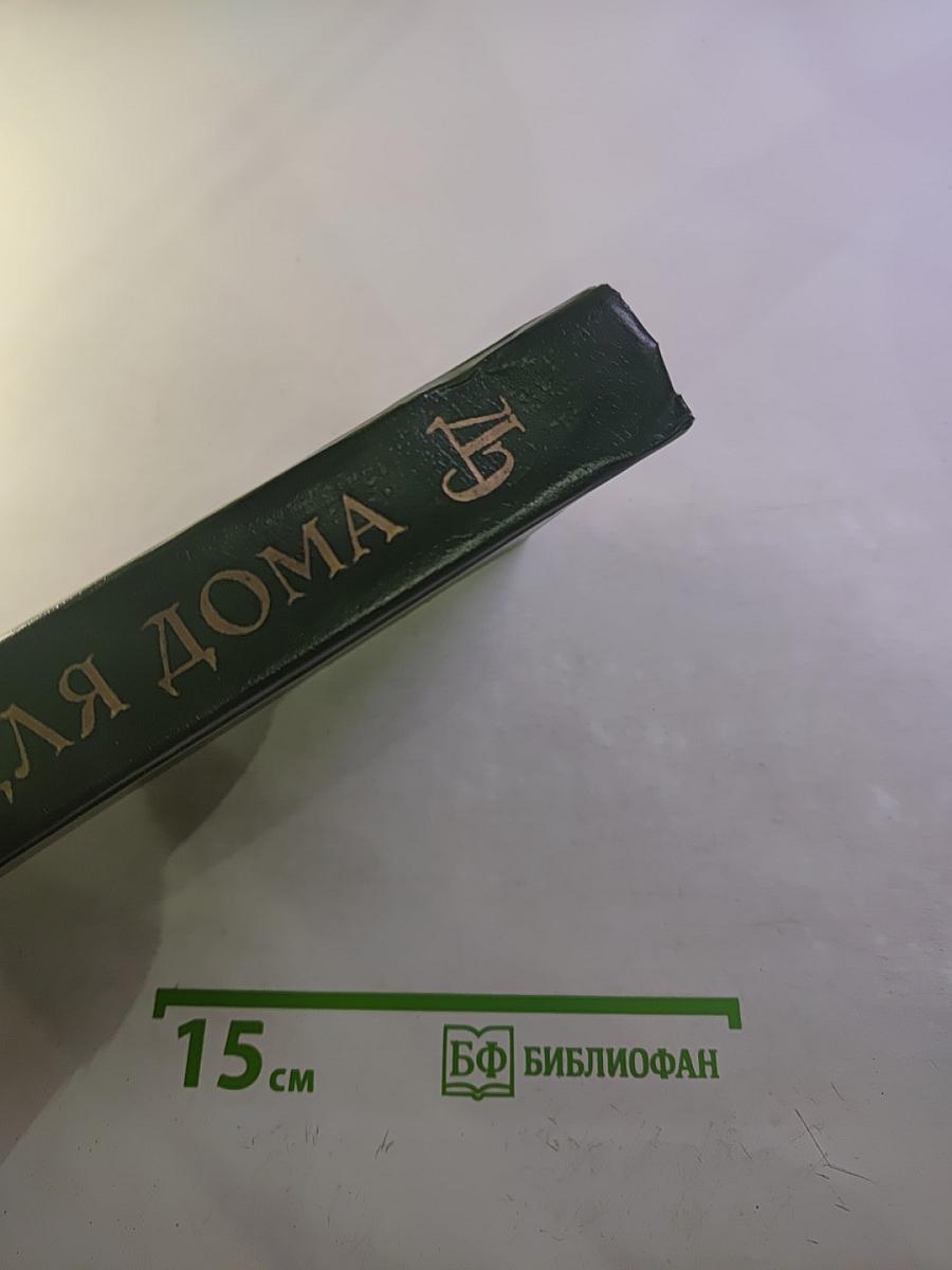 Домашняя энциклопедия. Здоровье ребенка и семьи