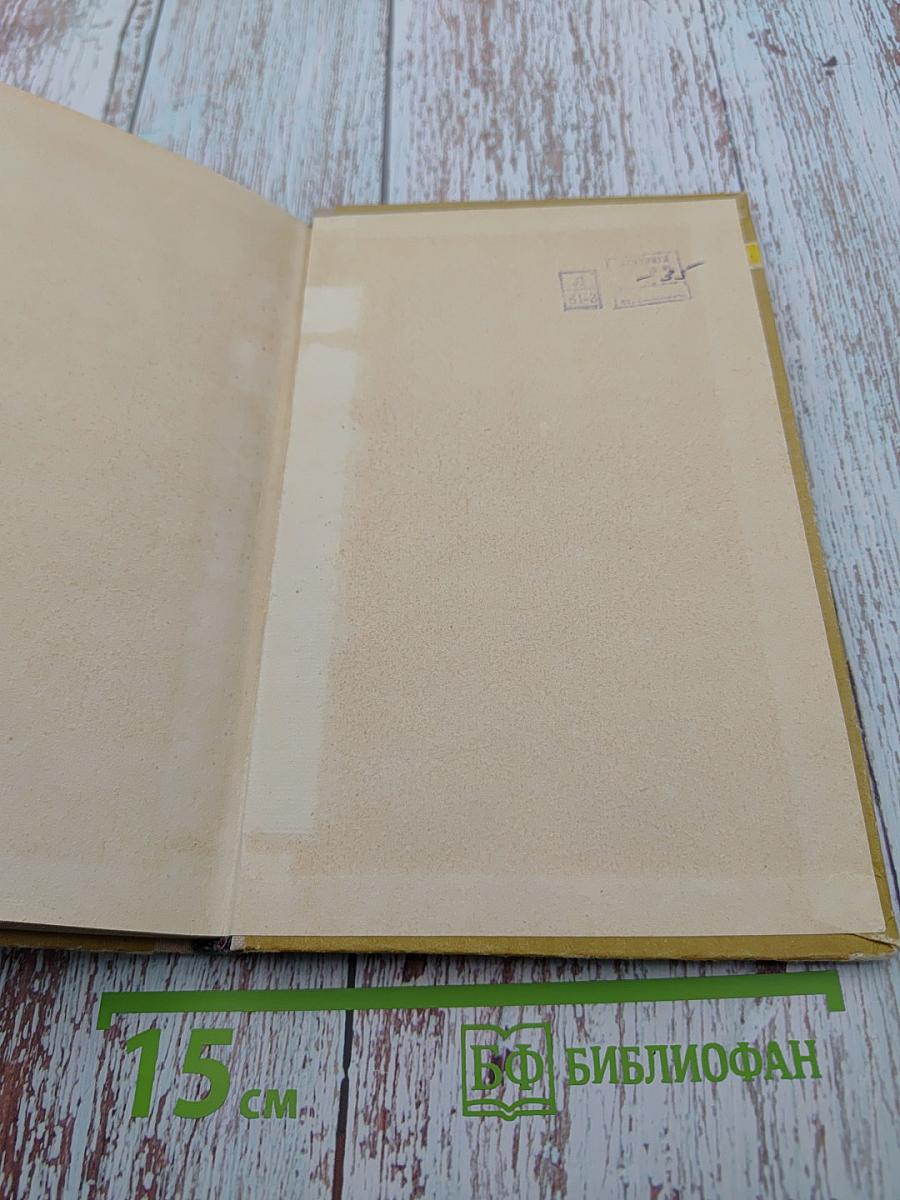 Живой как жизнь: Разговор о русском языке