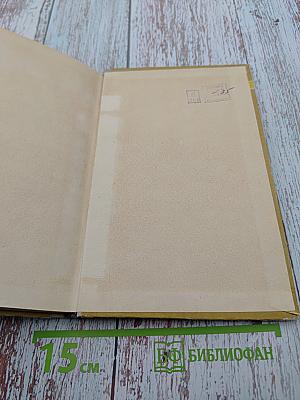 Живой как жизнь: Разговор о русском языке