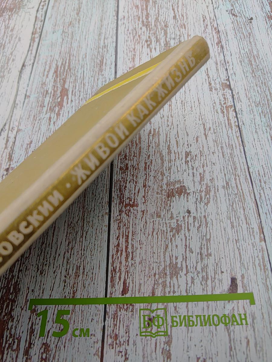 Живой как жизнь: Разговор о русском языке