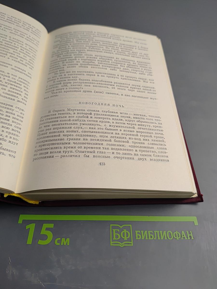 Девяностые годы. Рассказы и избранное