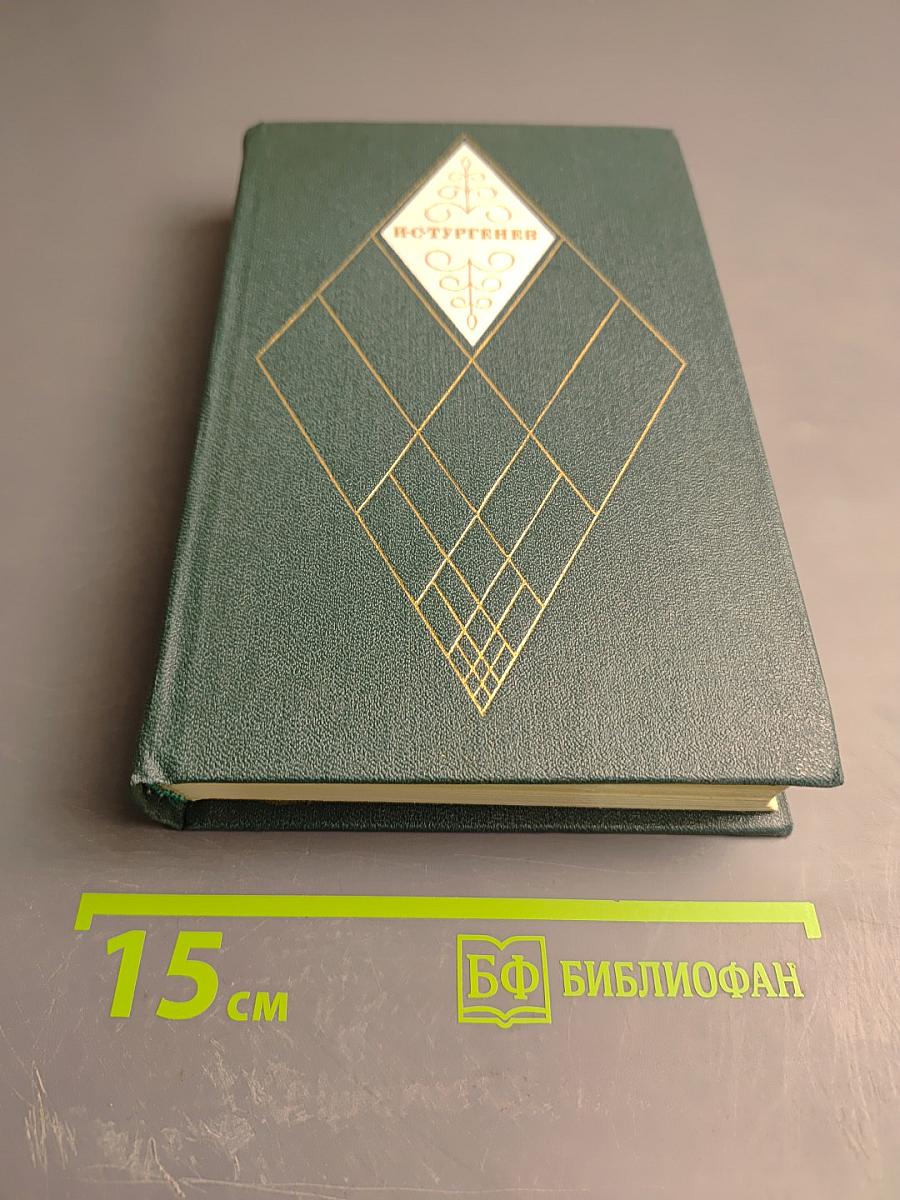 Стихотворения, поэмы, литературные и житейские воспоминания. Переводы И. С. Тургенева