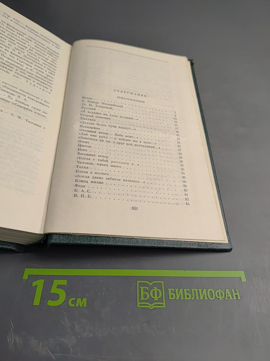 Стихотворения, поэмы, литературные и житейские воспоминания. Переводы И. С. Тургенева