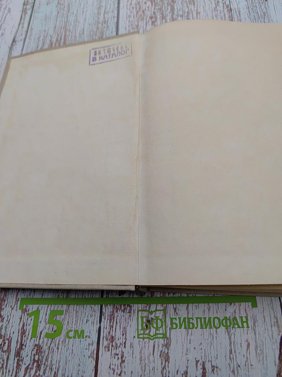 Сампагита, крест и доллар