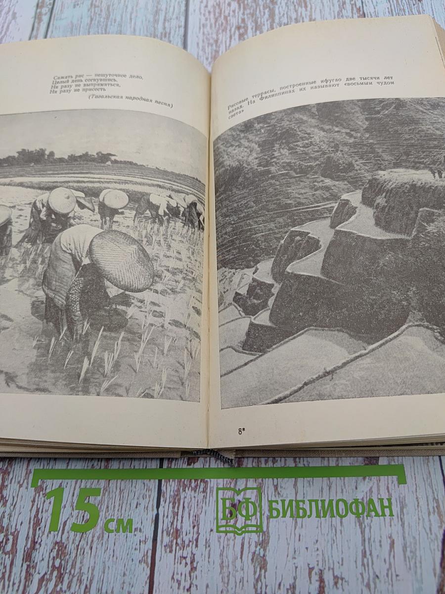 Сампагита, крест и доллар