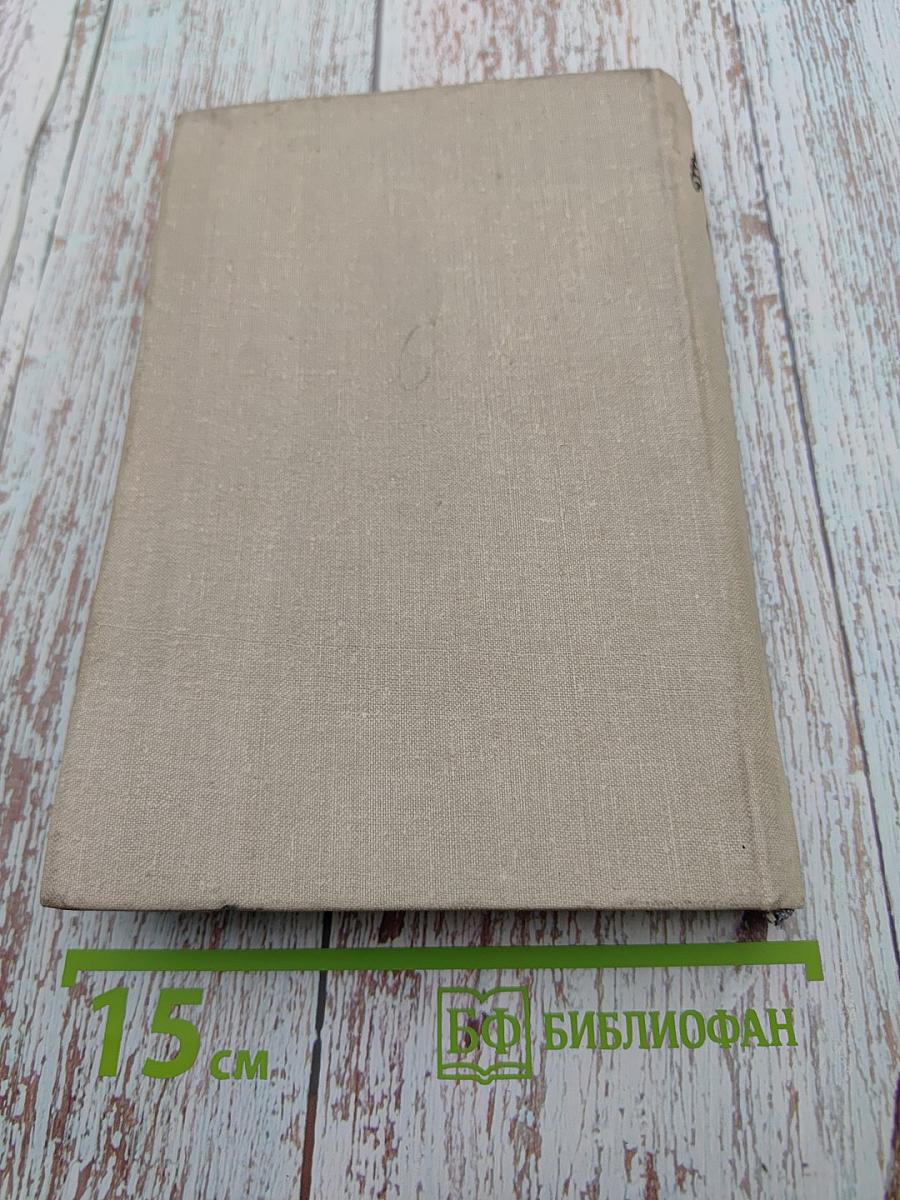 Сампагита, крест и доллар