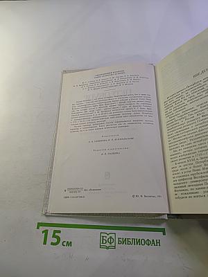Петербург Петра I в иностранных описаниях
