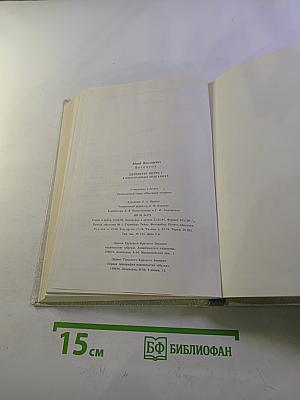 Петербург Петра I в иностранных описаниях