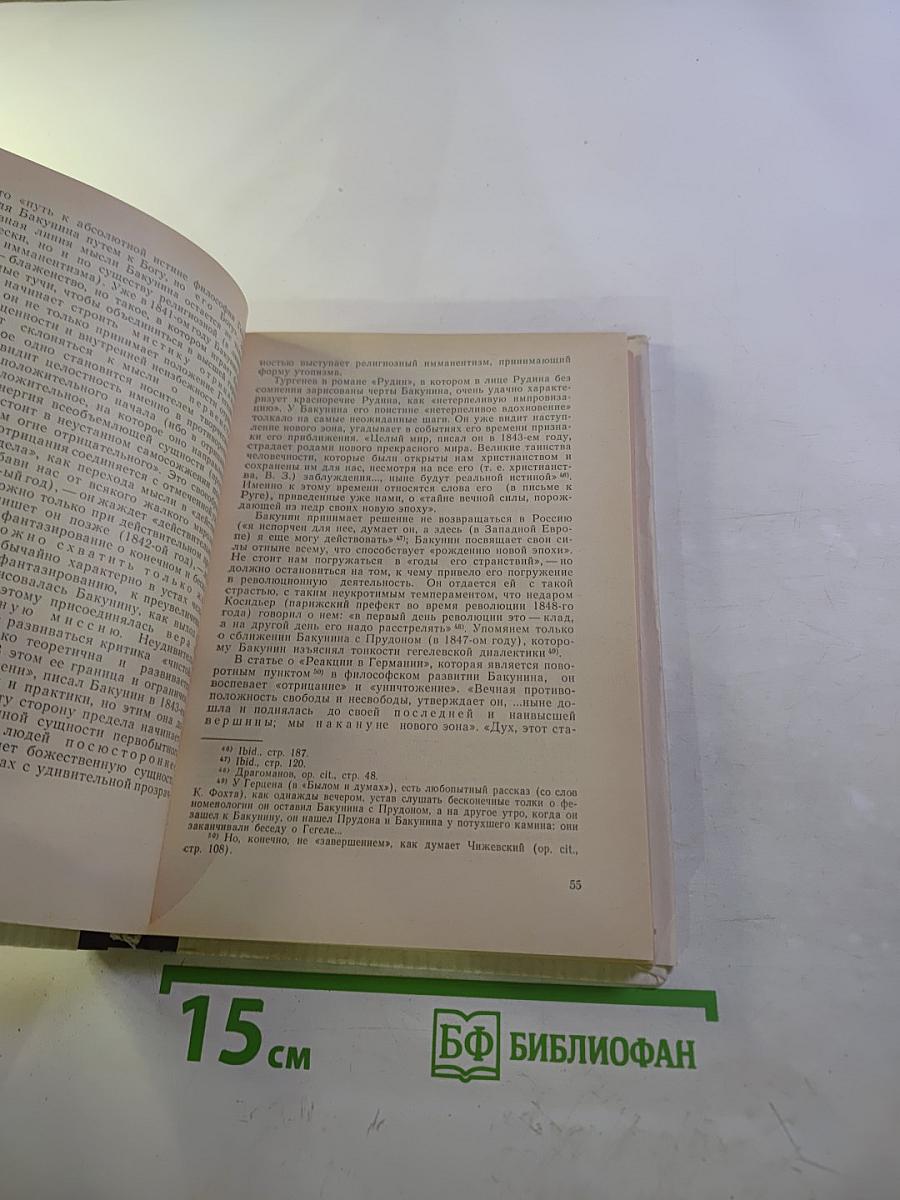 История русской философии. Том 1, Часть 2