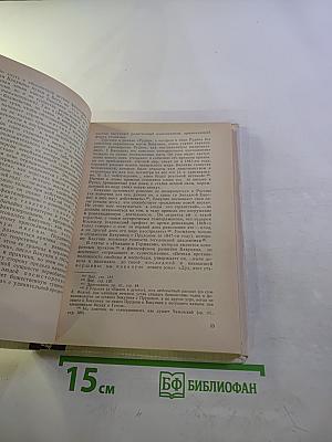 История русской философии. Том 1, Часть 2
