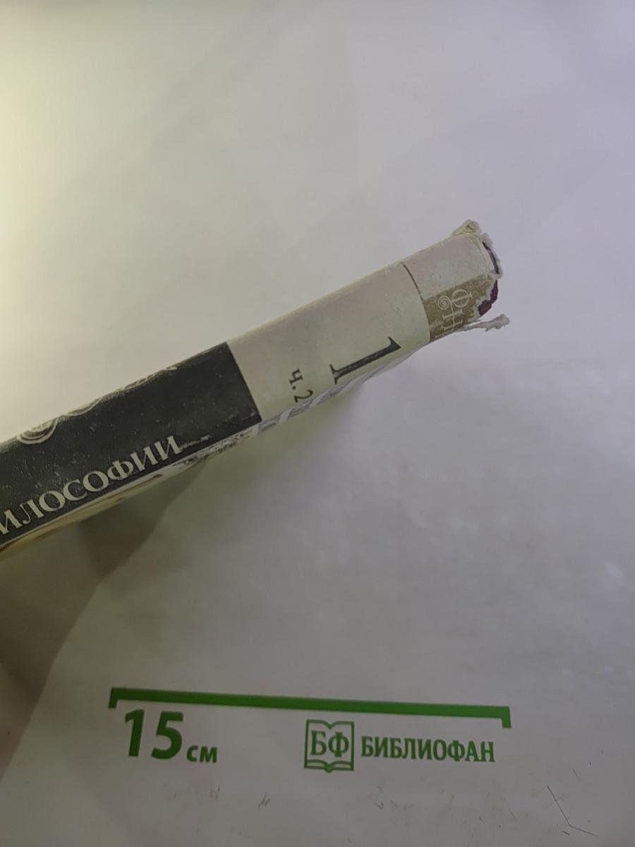 История русской философии. Том 1, Часть 2