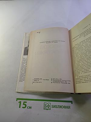 История Русской Философии. Том II. Часть 2
