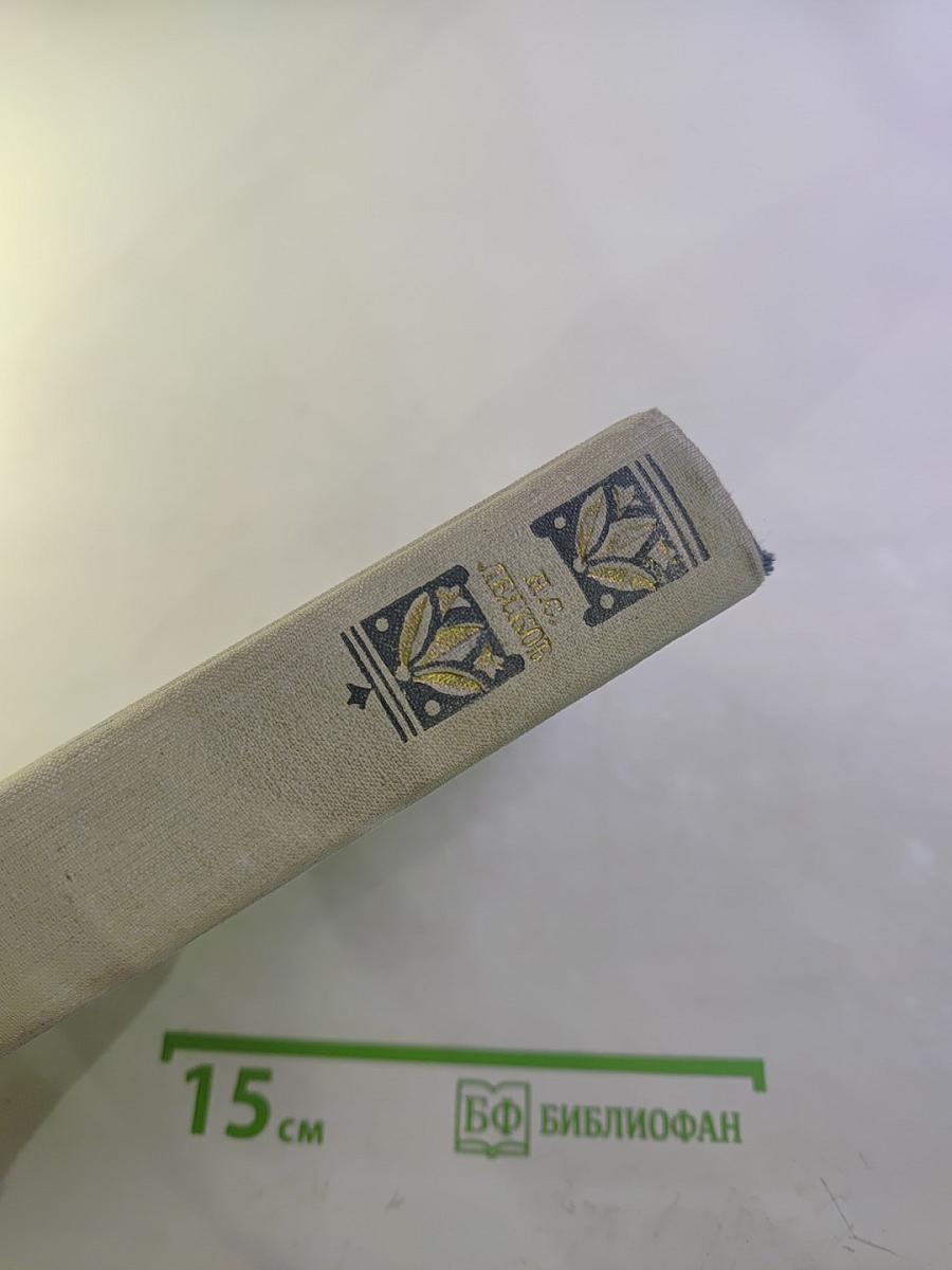 Н.С. Лесков Избранные произведения. Том 2