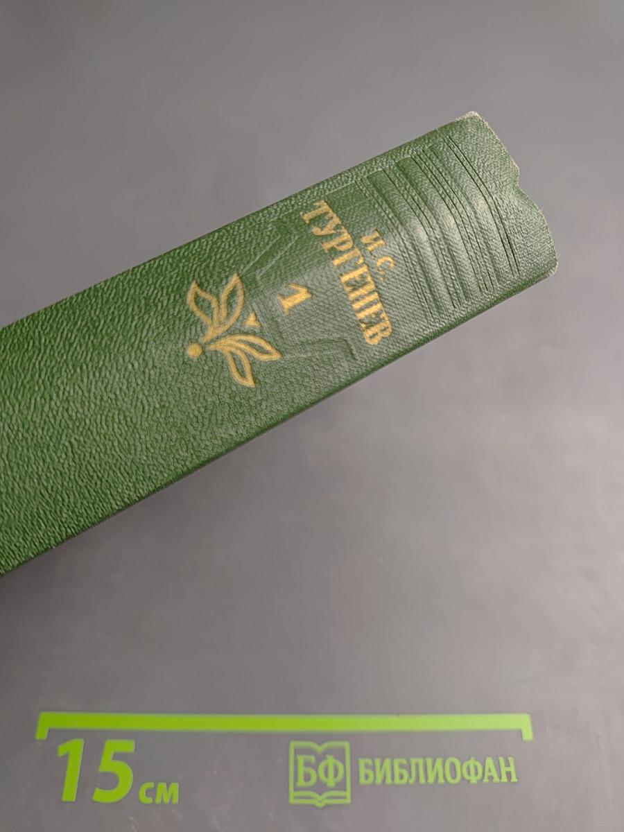 Собрание сочинений. Том первый: Записки охотника