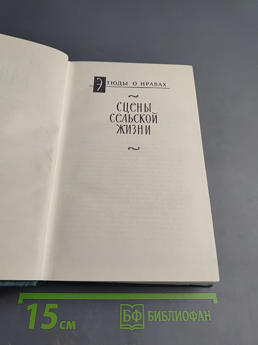 Человеческая комедия. Этюды о нравах. Сцены сельской жизни. Сельский врач. Сельский священник. Собрание сочинений в 24 томах. Том 17