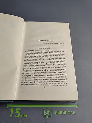 Человеческая комедия. Этюды о нравах. Сцены сельской жизни. Сельский врач. Сельский священник. Собрание сочинений в 24 томах. Том 17