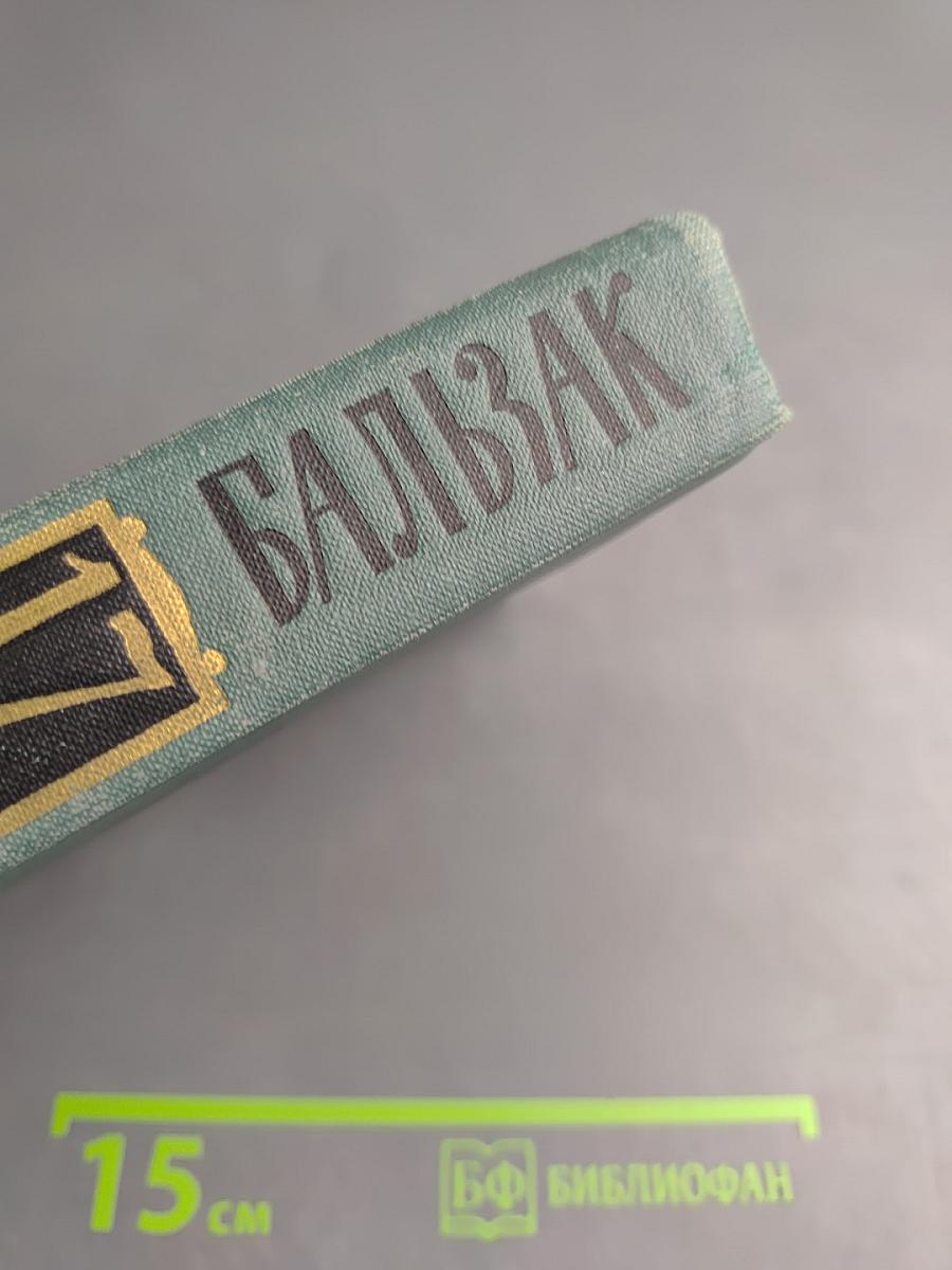 Человеческая комедия. Этюды о нравах. Сцены сельской жизни. Сельский врач. Сельский священник. Собрание сочинений в 24 томах. Том 17